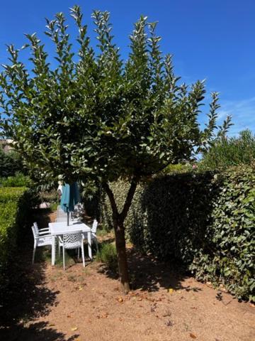 Residence Mare Bellu Agosta Plage Porticcio  Luaran gambar